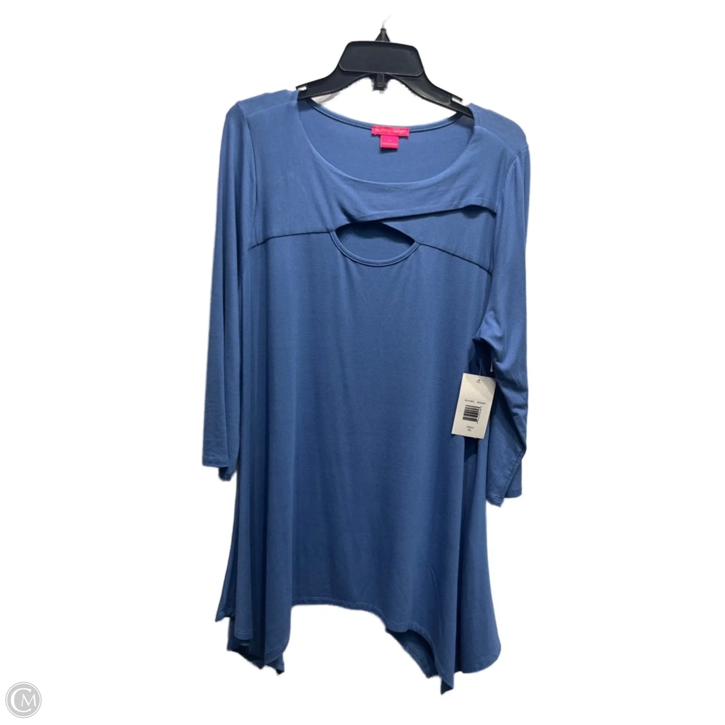 Top Long Sleeve By Sunny Leigh In Blue, Size: Xl