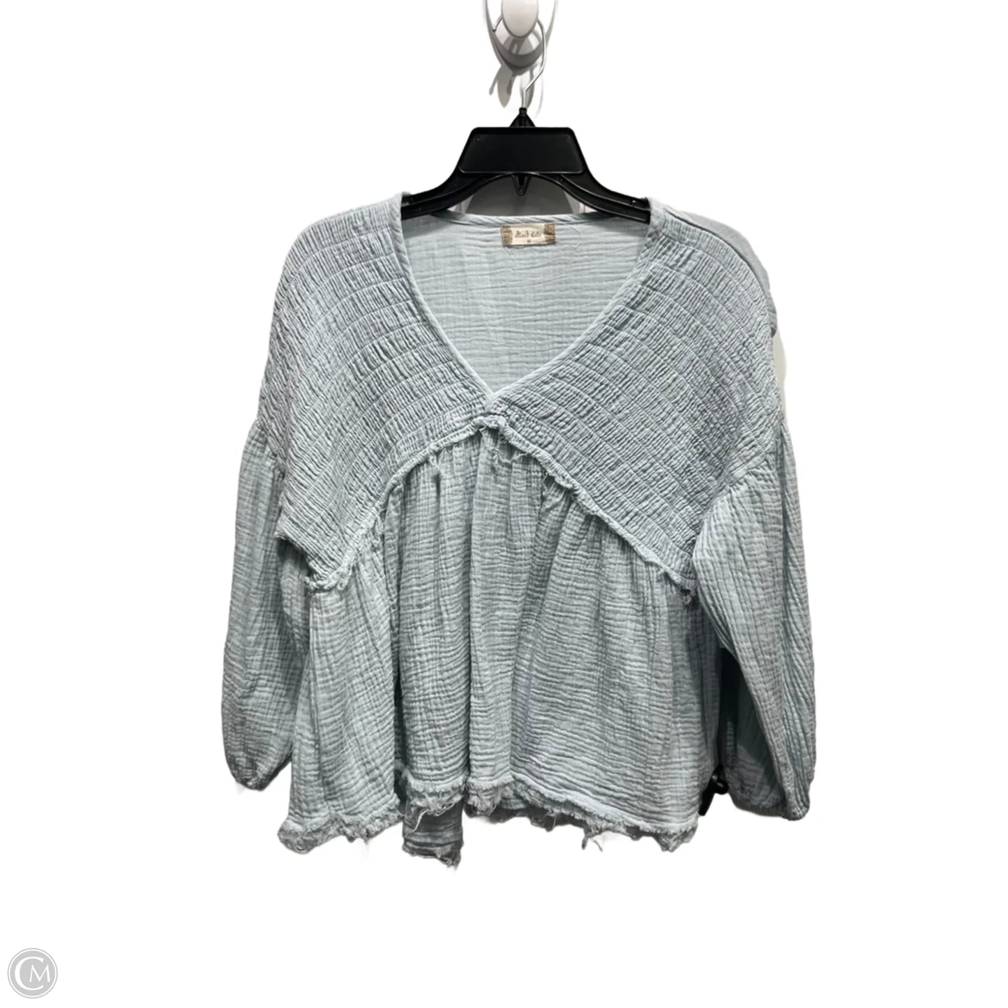 Top Long Sleeve By Altard State In Blue, Size: M