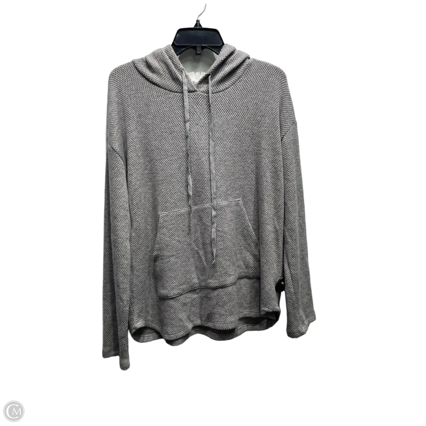 Sweatshirt Hoodie By Johnny Was In Grey, Size: S