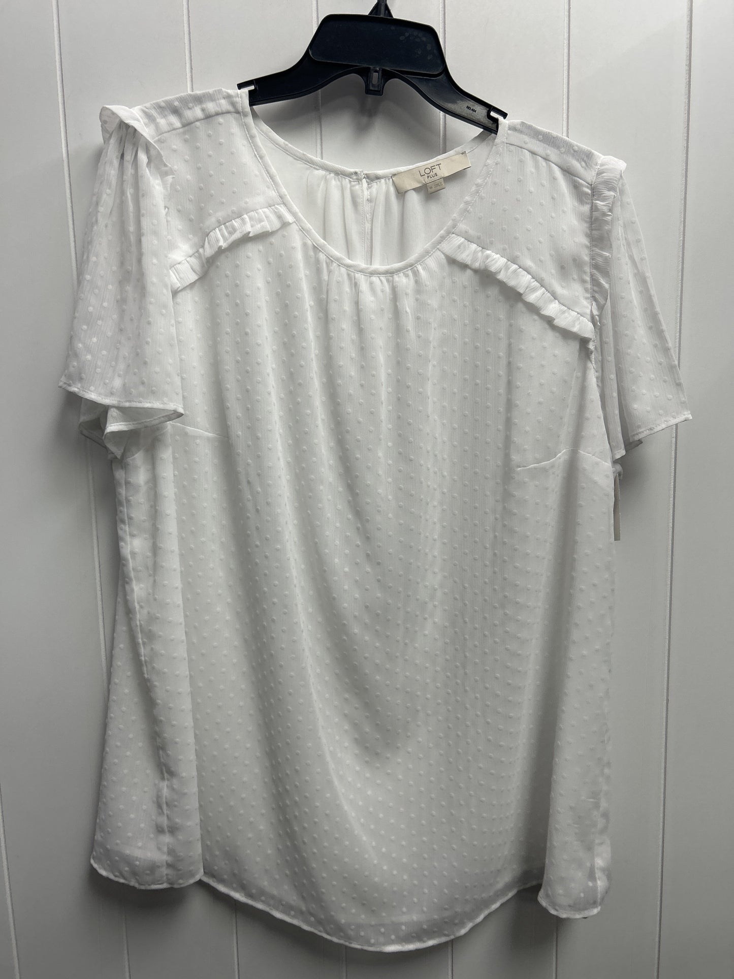 Top Short Sleeve By Loft Size: 16