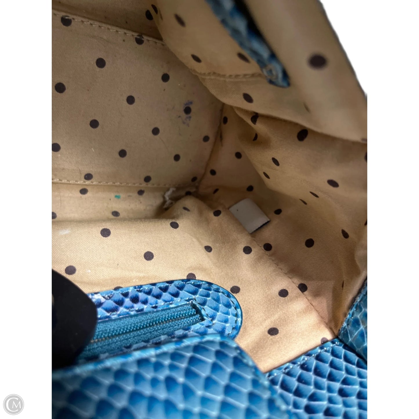 Handbag Designer By Kate Spade, Size: Small