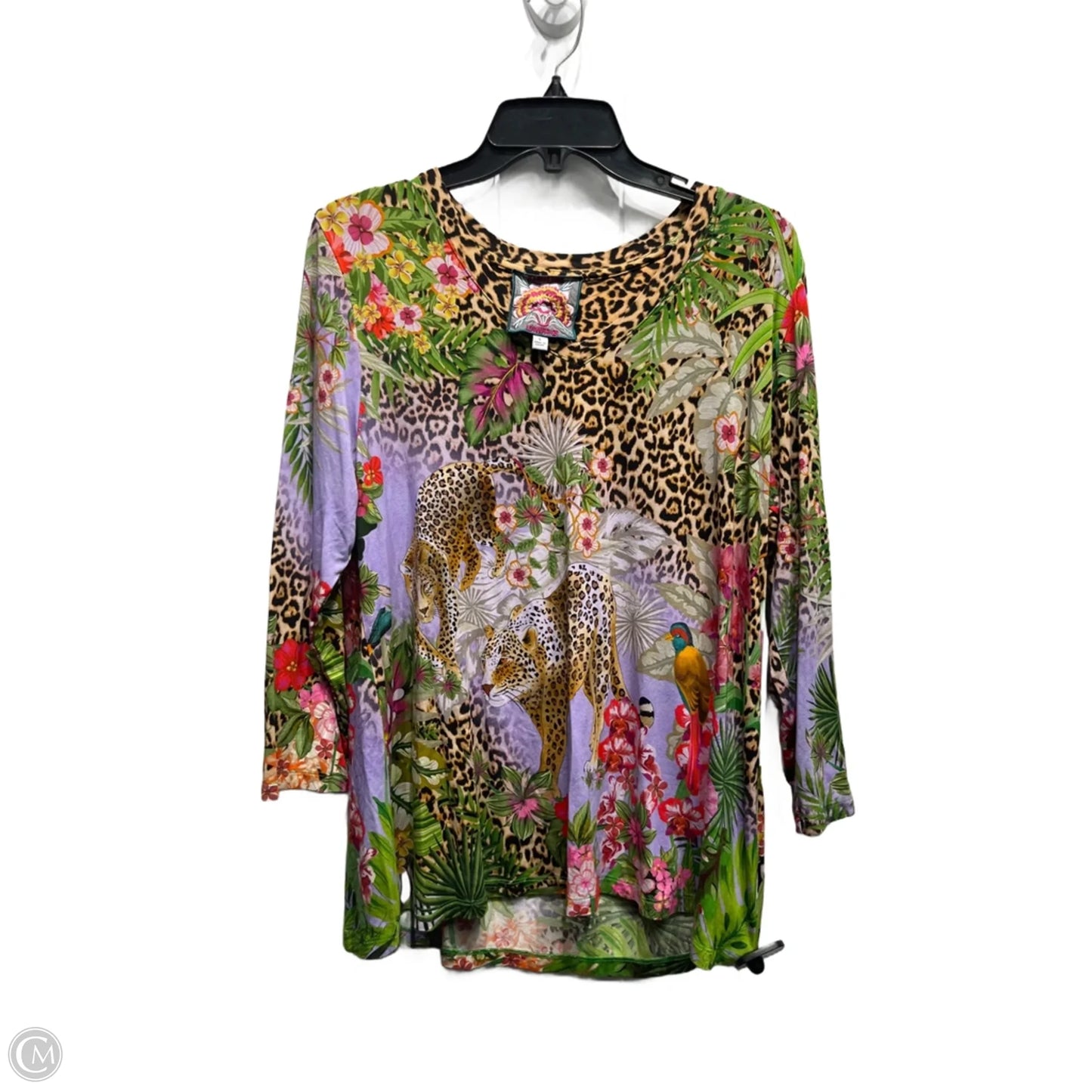 Blouse Long Sleeve By Johnny Was In Green & Purple, Size: L