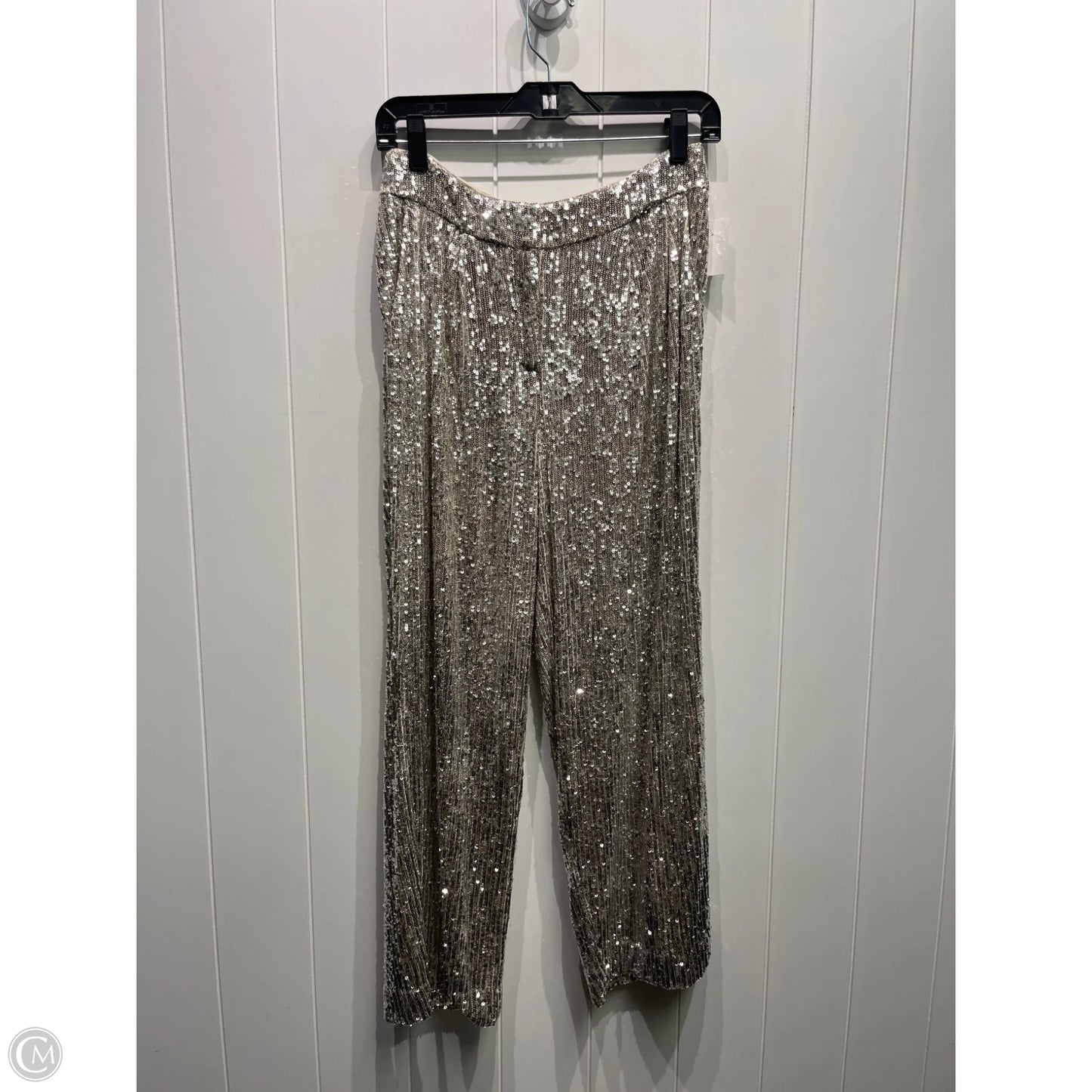 Pants Other By Express In Silver, Size: Xs