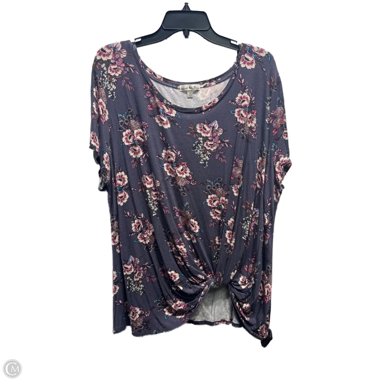 Top Short Sleeve By nine britton In Blue & Pink, Size: 3x