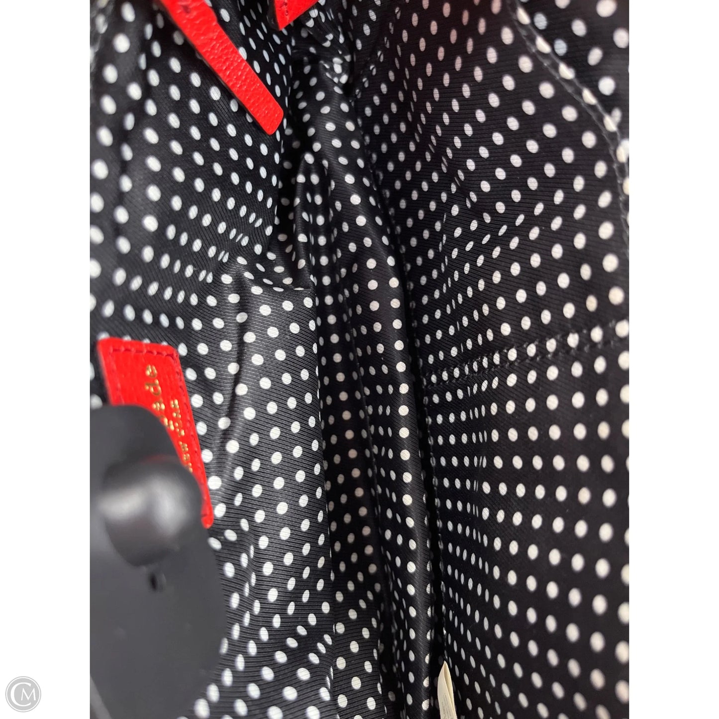 Crossbody Designer By Kate Spade, Size: Small
