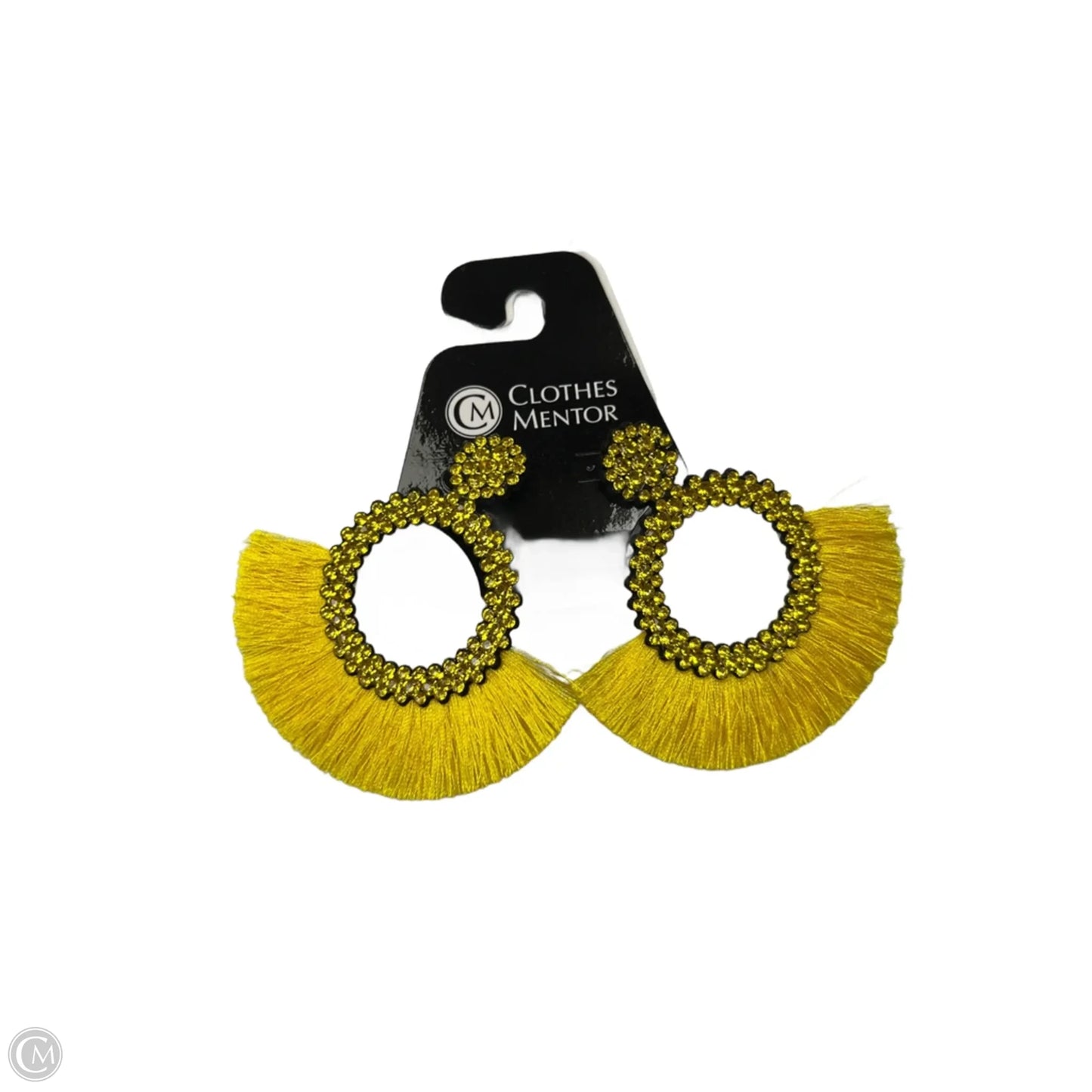 Earrings Dangle/drop By Clothes Mentor