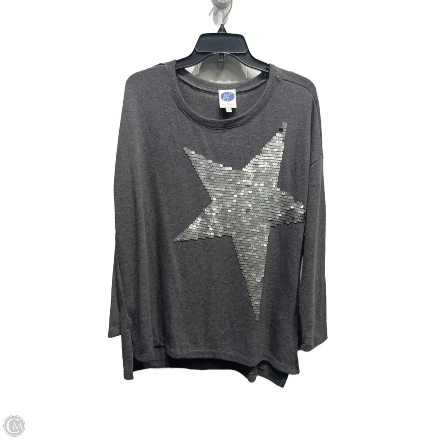 Top Long Sleeve By Diane Gilman In Grey & Silver, Size: M