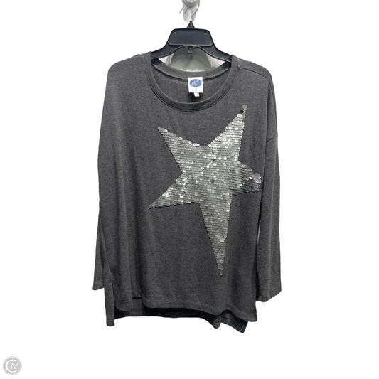 Top Long Sleeve By Diane Gilman In Grey & Silver, Size: M