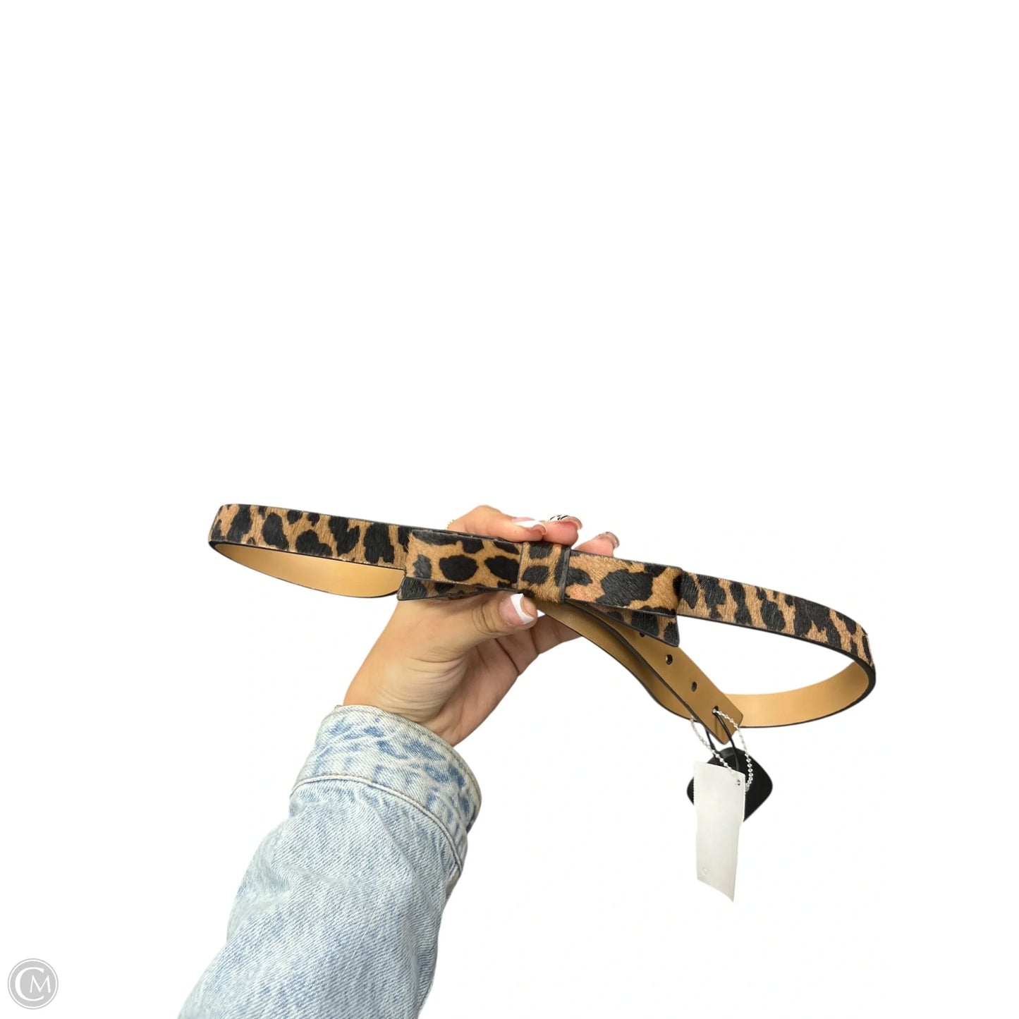 Belt Designer By Kate Spade, Size: Xlarge