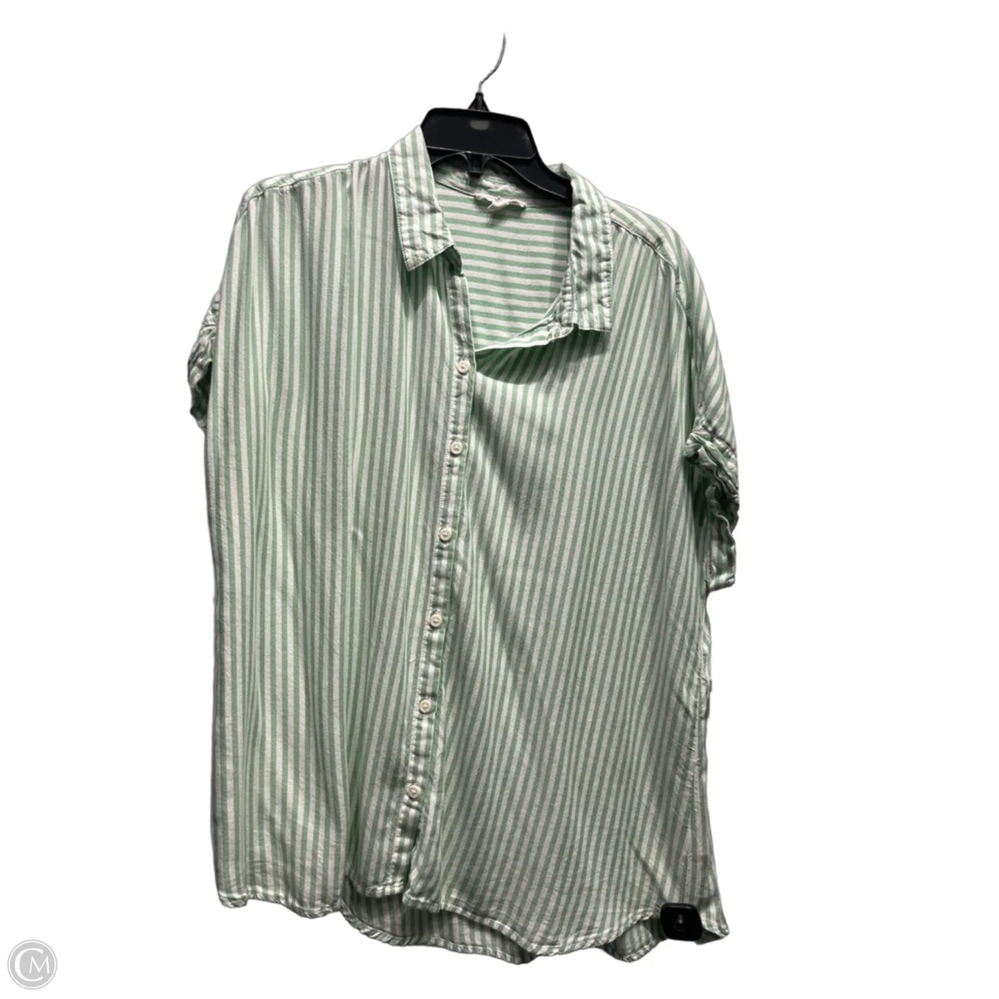 Top Short Sleeve By Beachlunchlounge In Green & White, Size: Xl