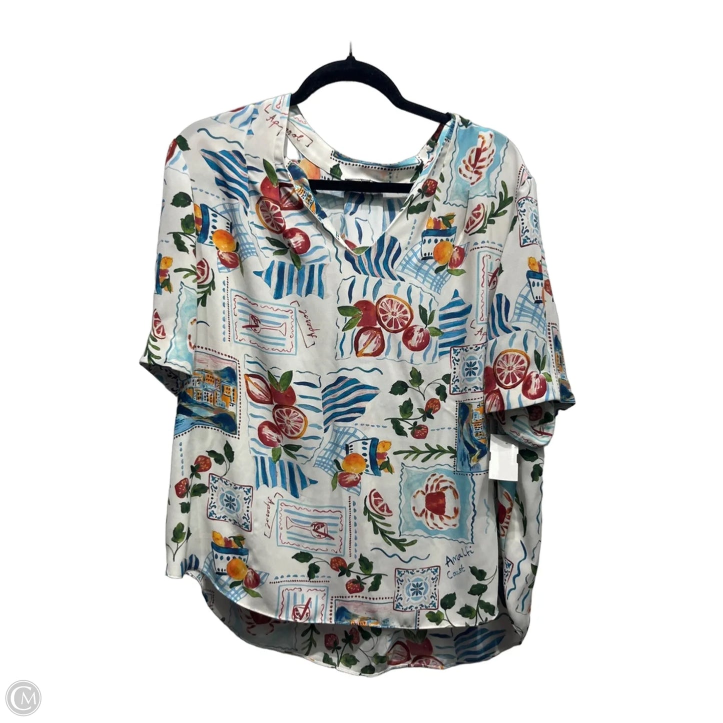 Top Short Sleeve By Not Your Daughters Jeans In Blue & Cream, Size: 1x