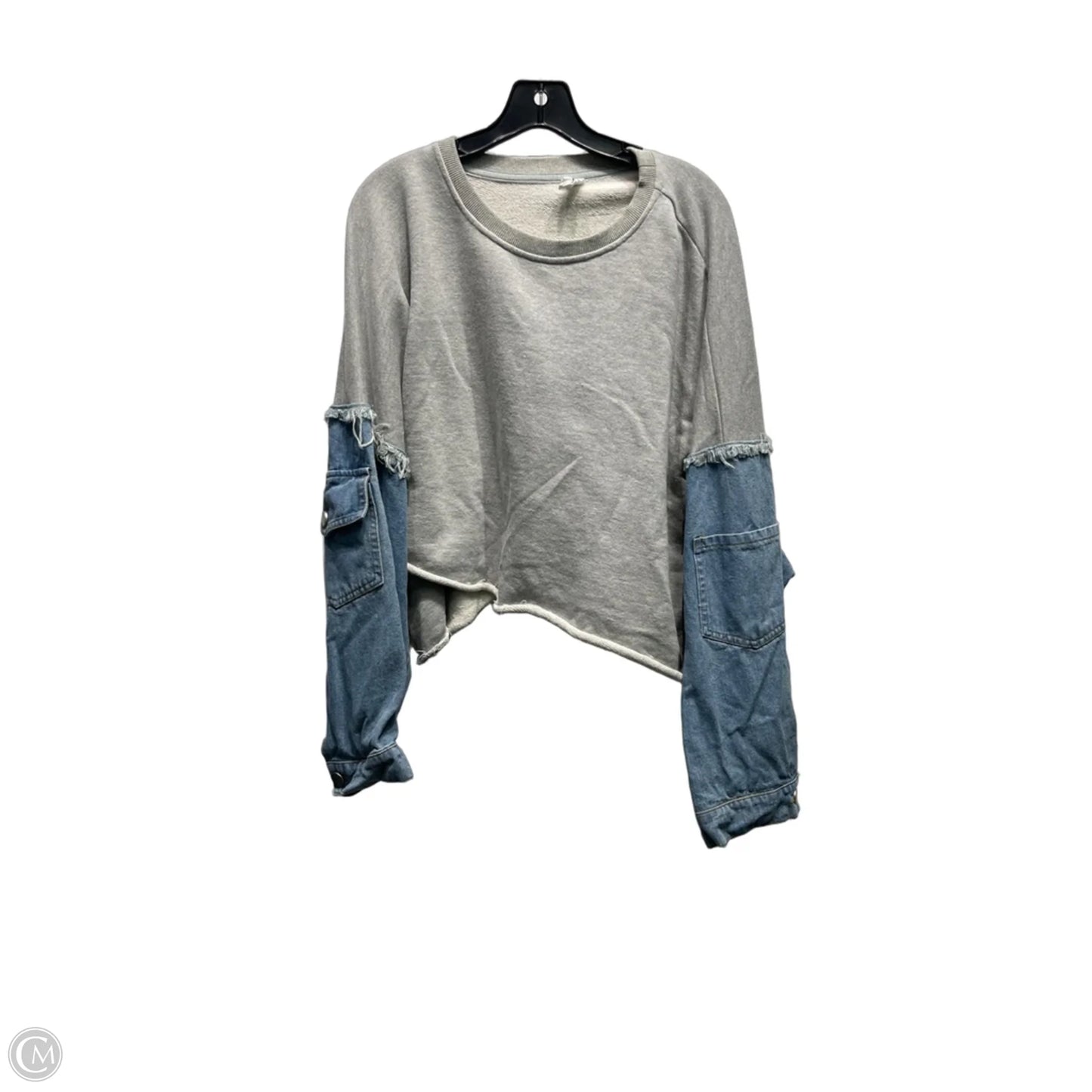 Top Long Sleeve By Flawless In Blue & Grey, Size: M