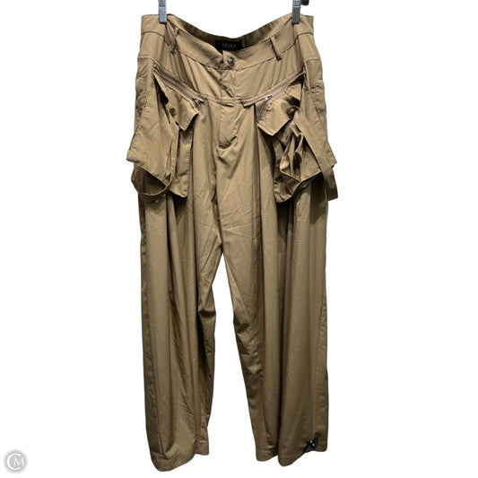 Pants Cargo & Utility By Akira In Tan, Size: 1x