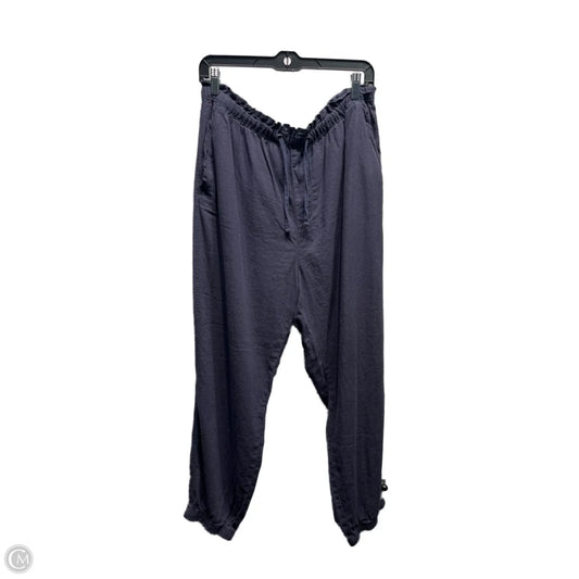 Pants Joggers By Social Standard By Sanctuary In Blue, Size: Xxl