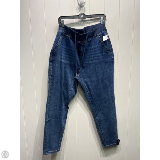 Jeans Skinny By Bloomchic In Blue Denim, Size: 14