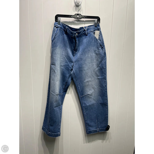 Jeans Wide Leg By FLAMING GALS In Blue Denim, Size: Xl