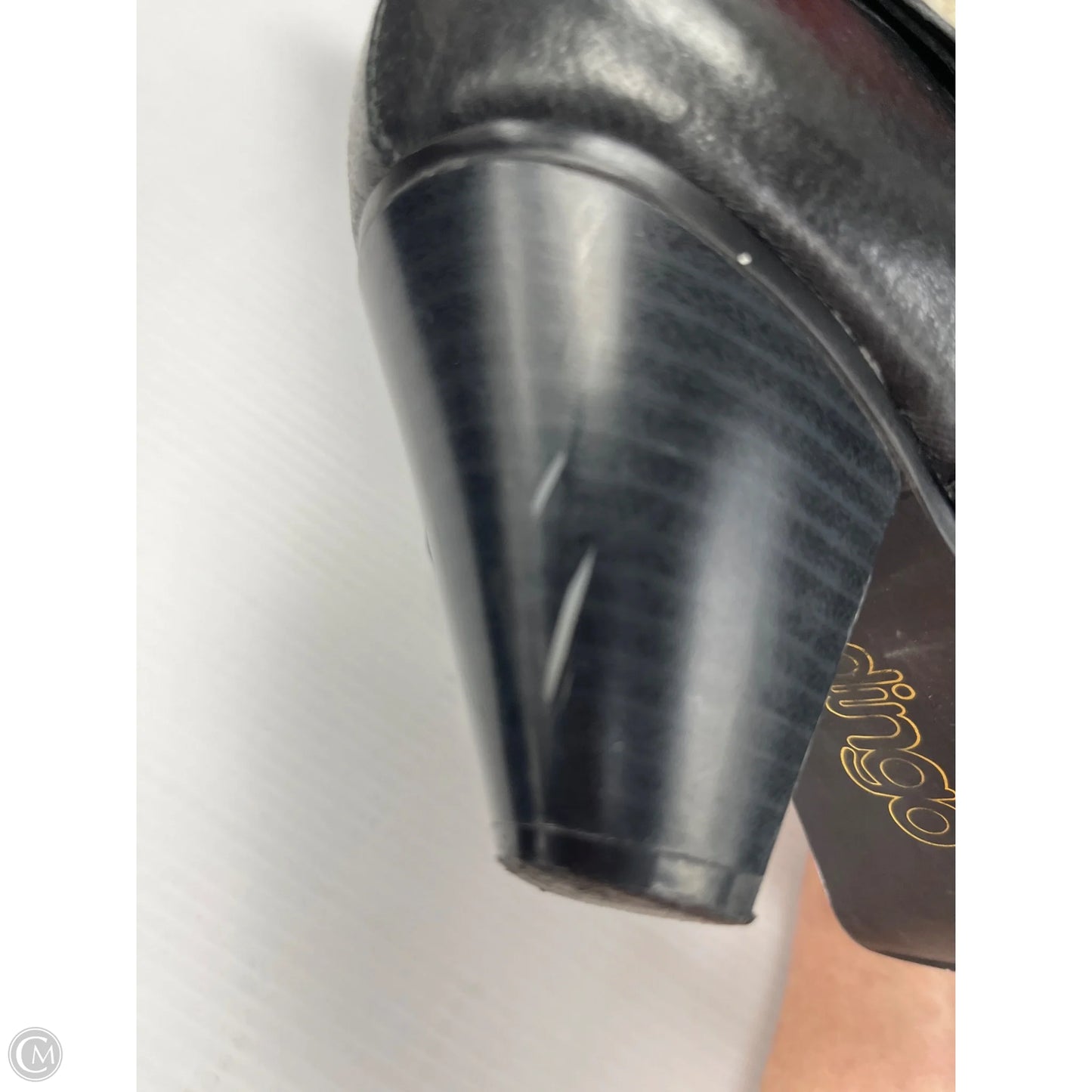 Boots Ankle Heels By Dingo In Black, Size: 9.5