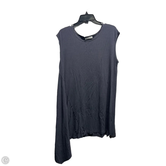 Tunic Sleeveless By Bryn Walker In Grey, Size: L