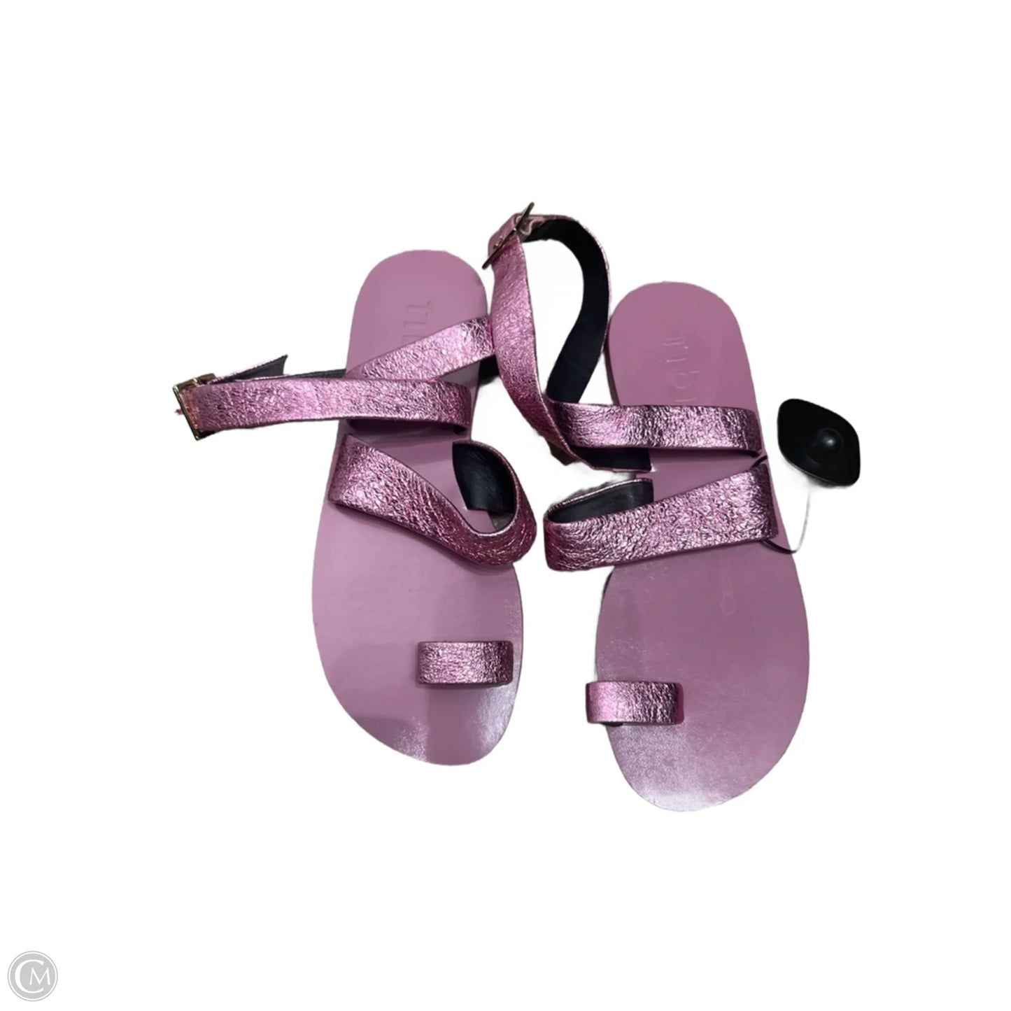Sandals Flats By Tibi In Purple, Size: 7