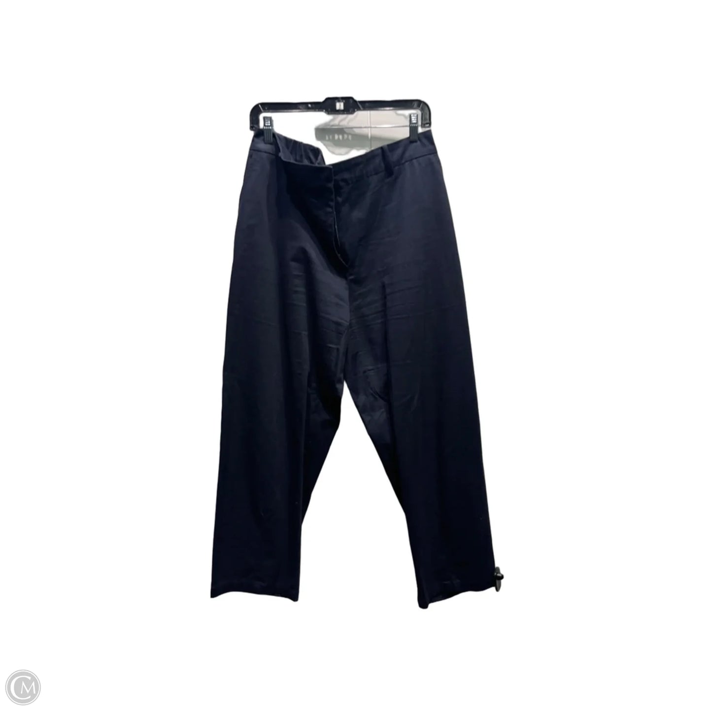Pants Other By Zara In Navy, Size: Xl