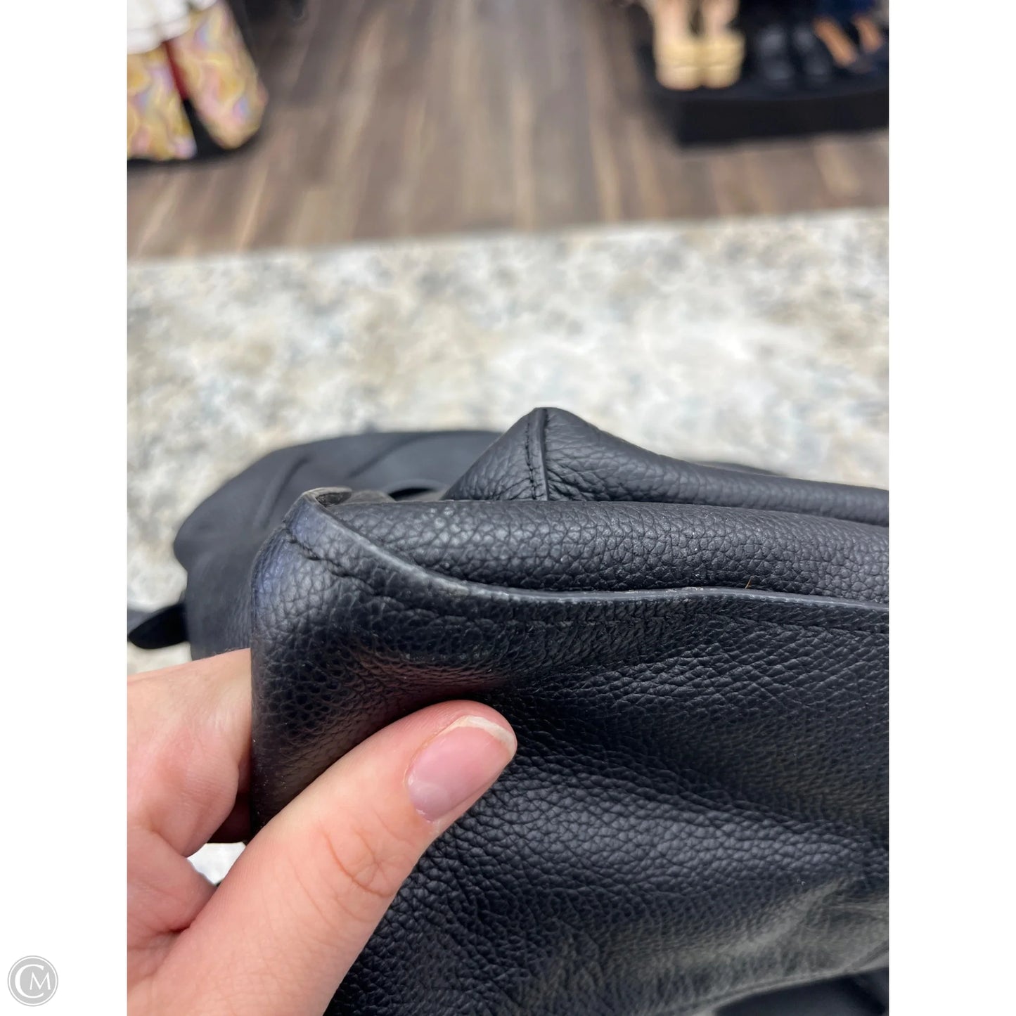Backpack Designer By Coach, Size: Medium
