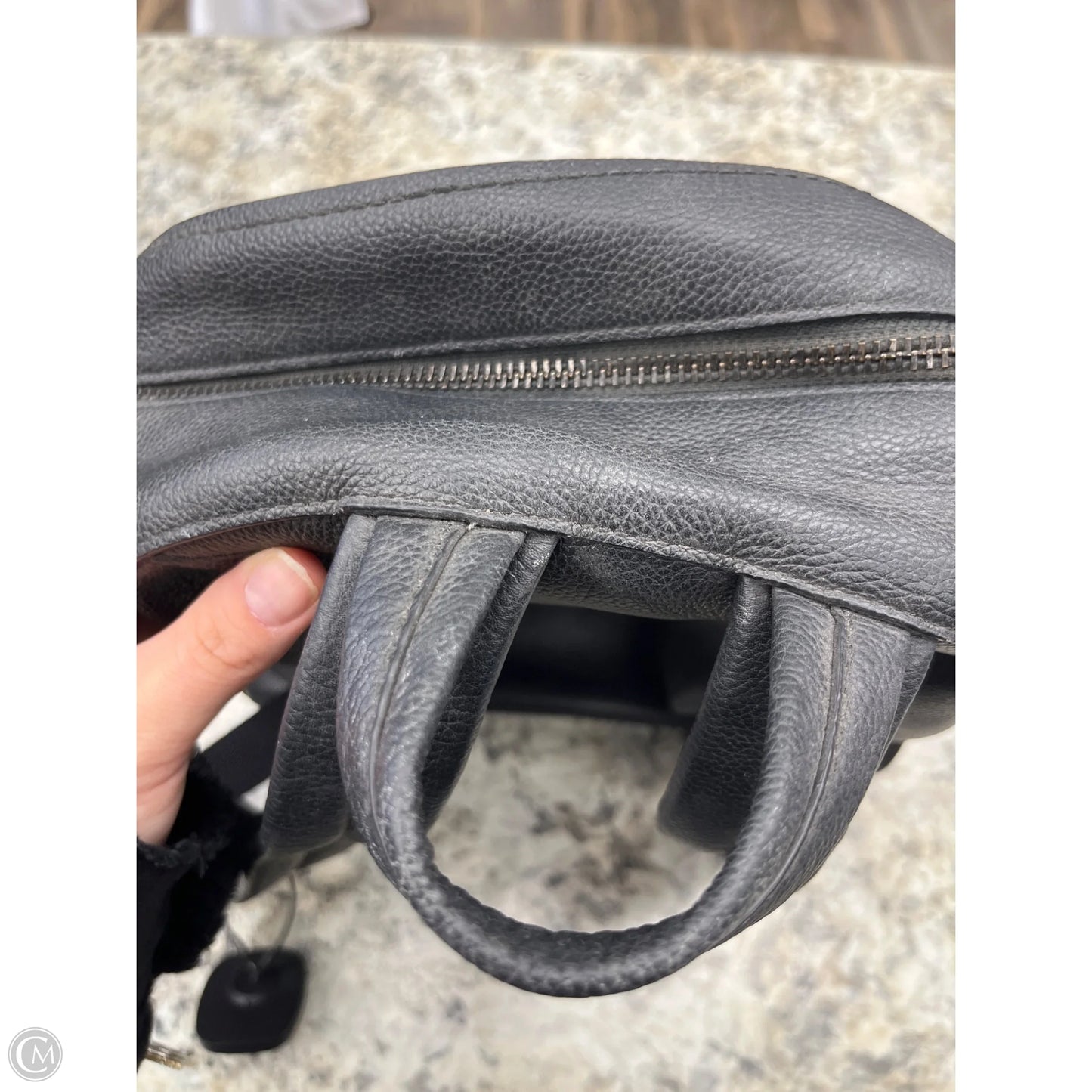 Backpack Designer By Coach, Size: Medium